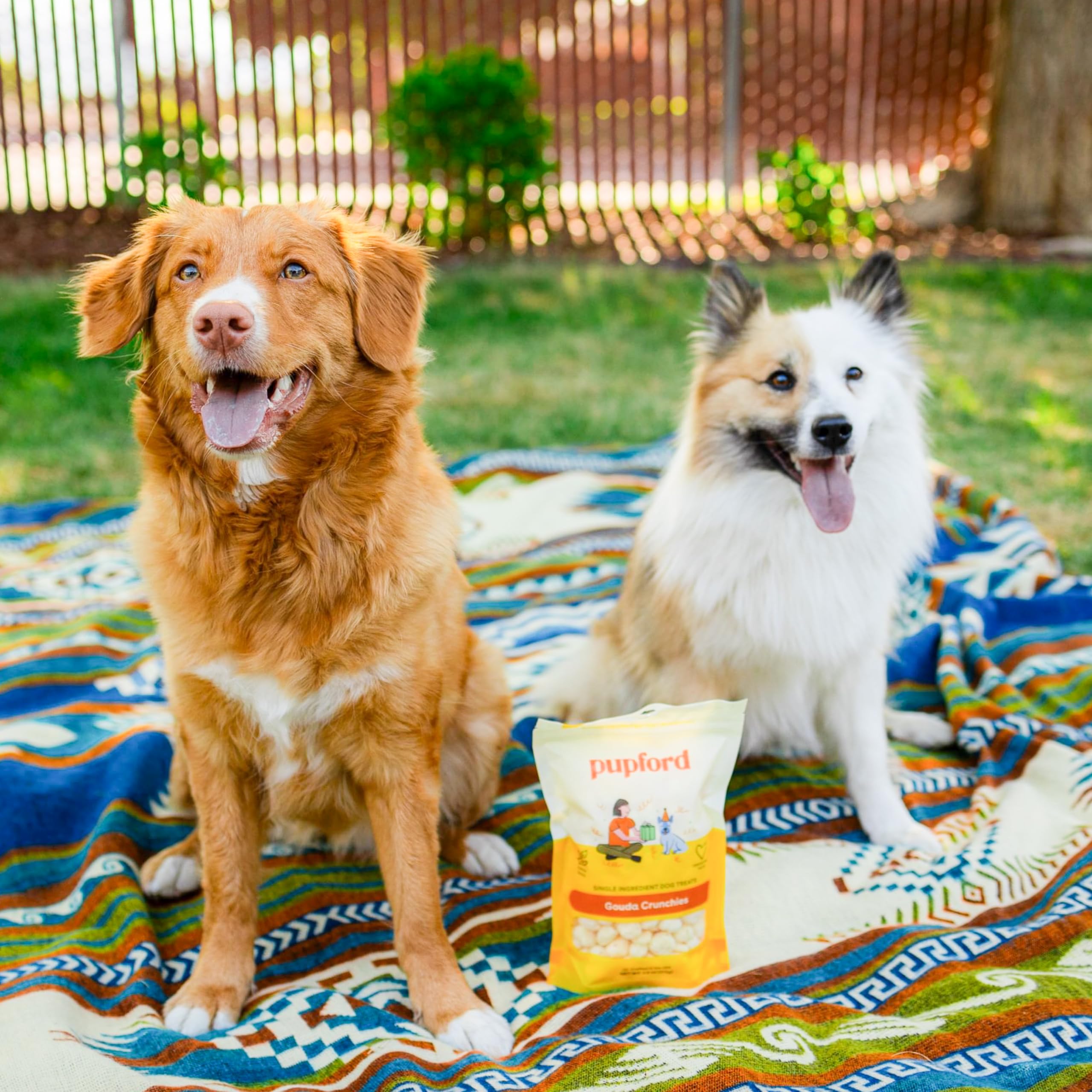 Pupford Cheese Crunchies ingrediente-unico queso Gouda 100% natural