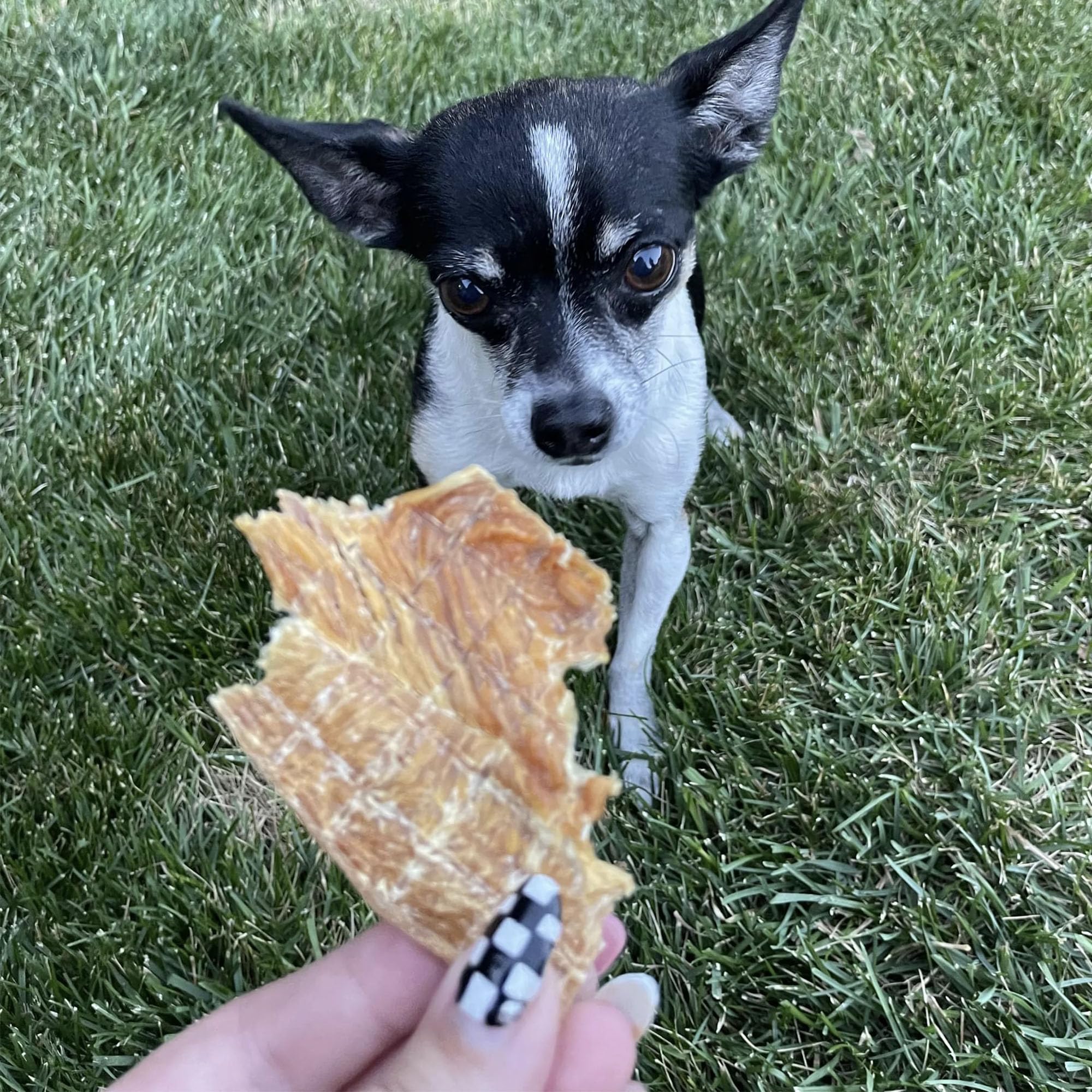 Pupford Crunchy Jerky: hecho en EE. UU. con control de calidad para perros.