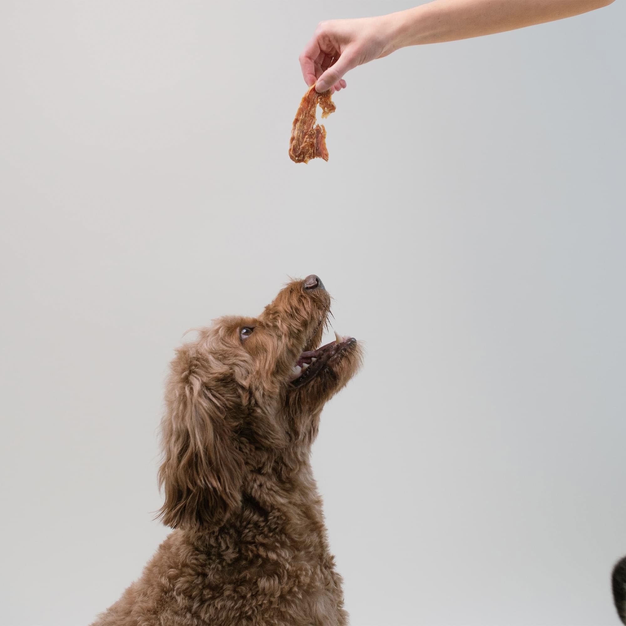 Pupford Crunchy Jerky: sin rellenos para una merienda limpia y sabrosa.