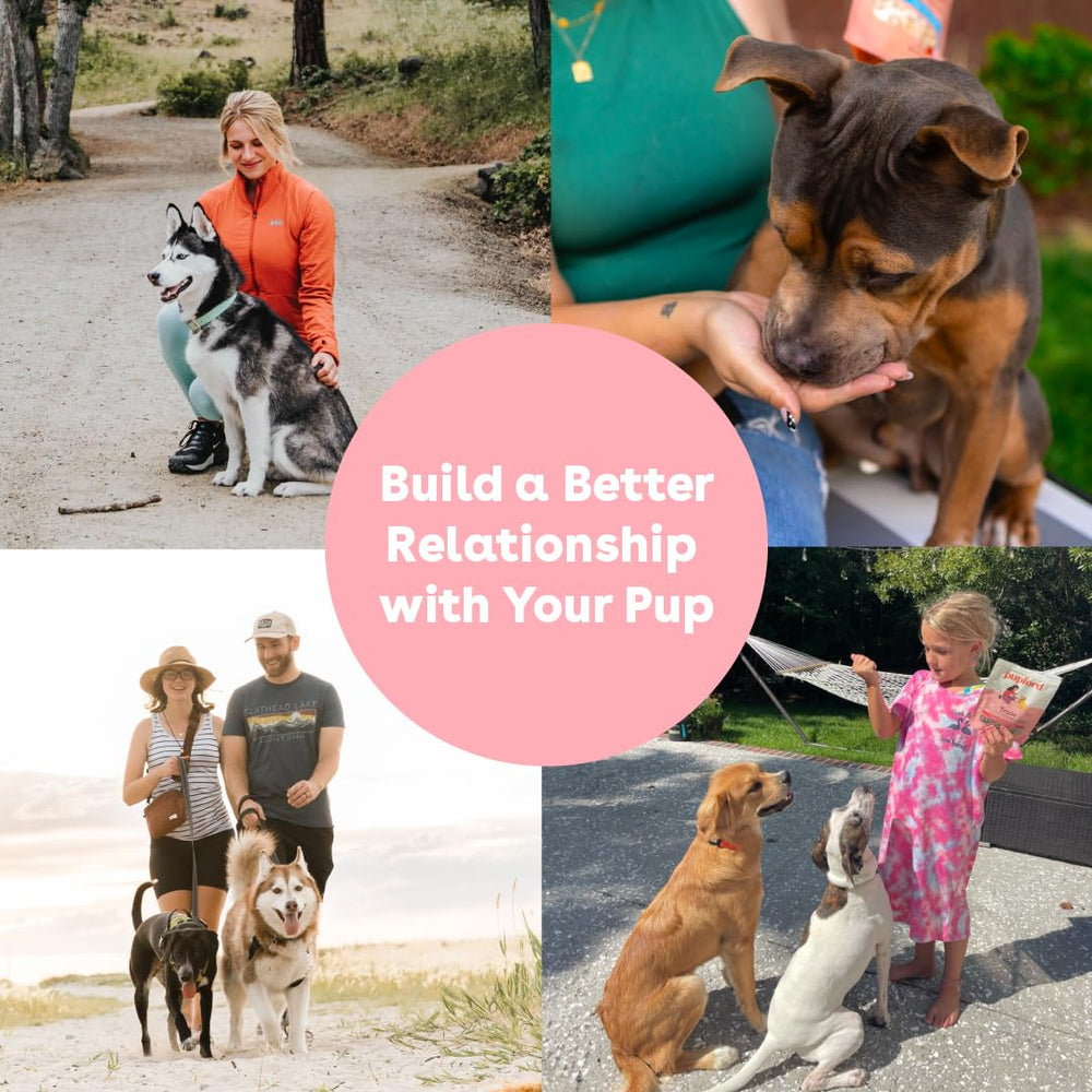 Pupford Opción ideal para entrenar perros y cachorros con refuerzo positivo.
