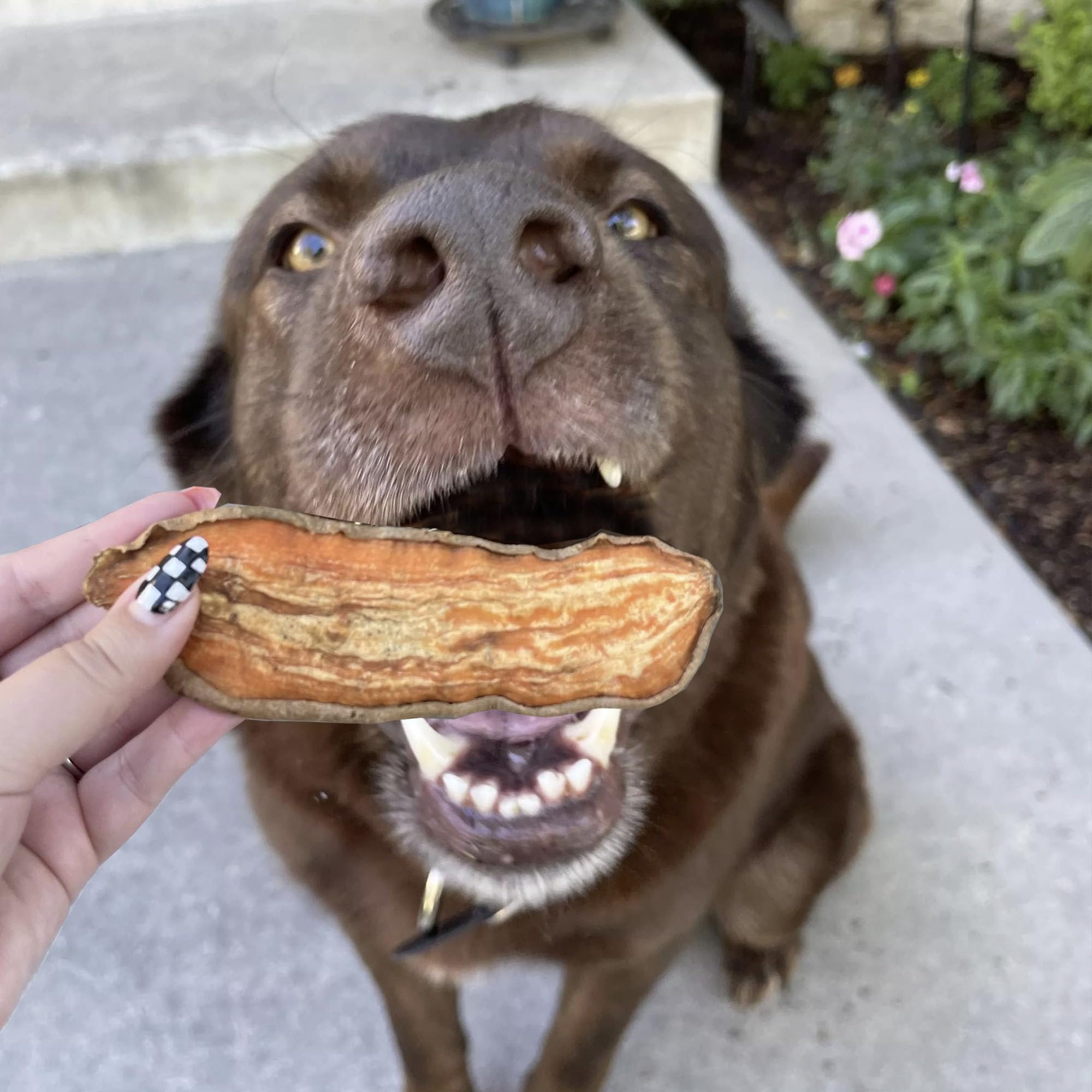 Pupford jerky-de-batata-sin-rellenos: snack ligero y sin rellenos