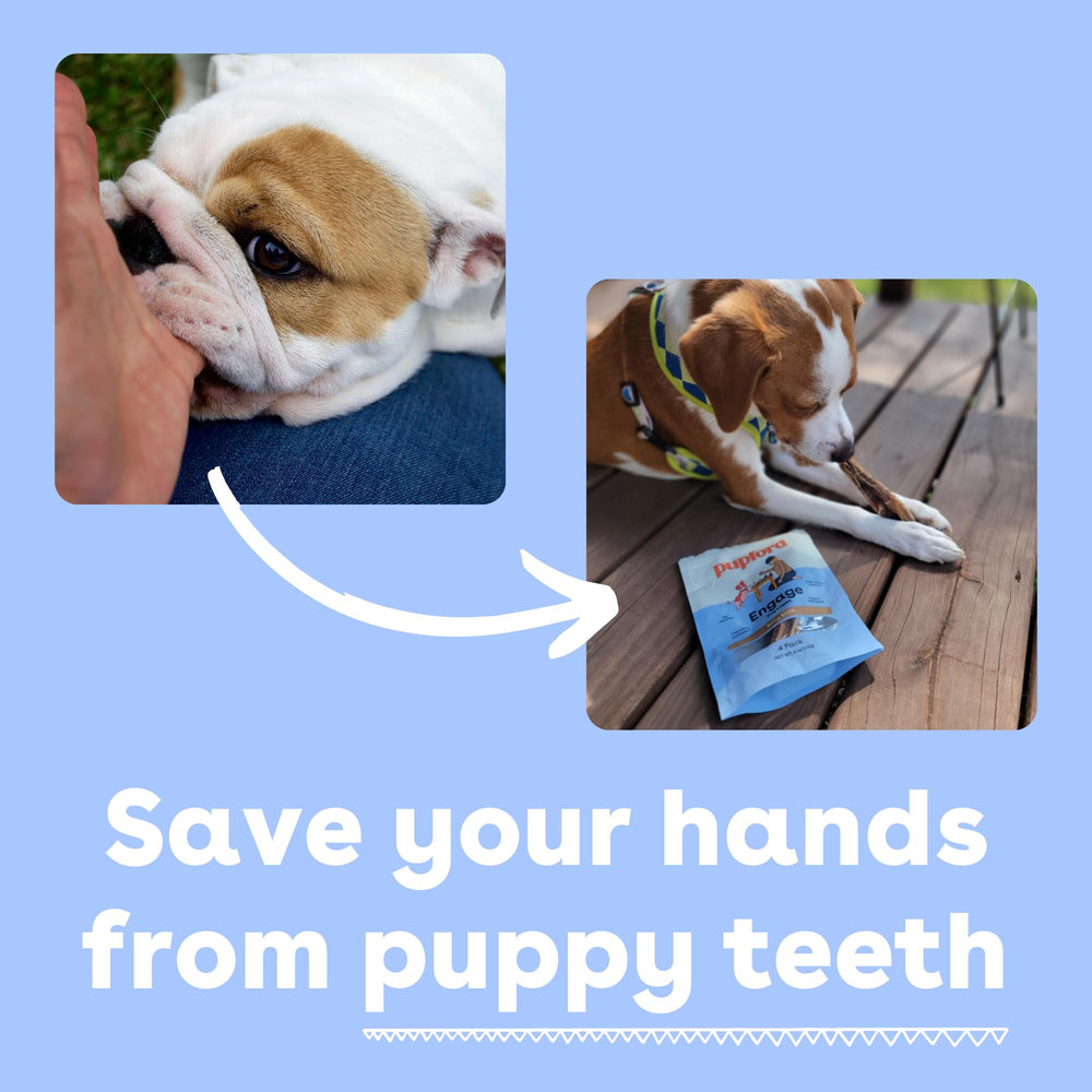 Pupford mordedor bully ahumado, olor más suave para una experiencia de juego.