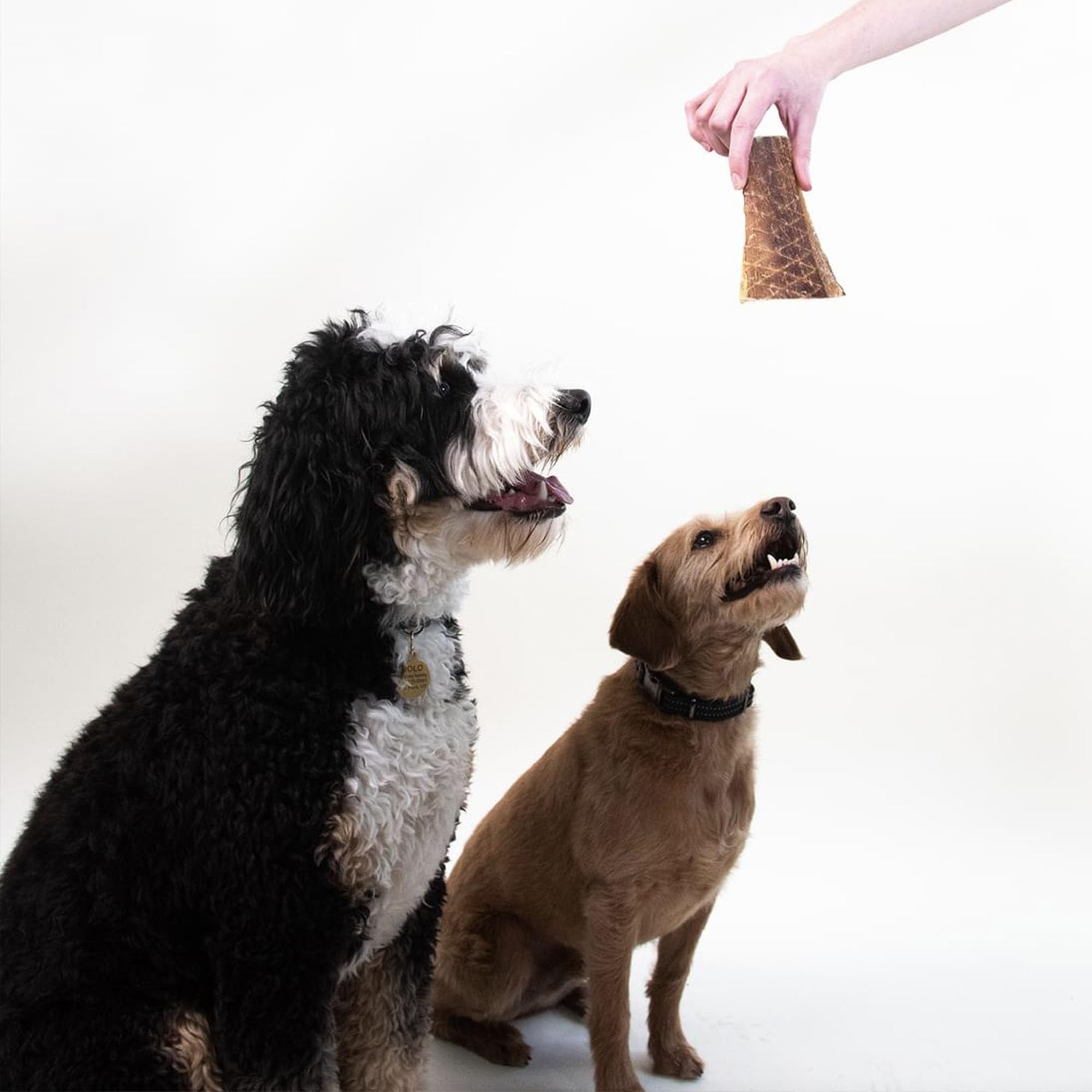 Pupford para perros de todas las tallas, snack crujiente y sabroso.