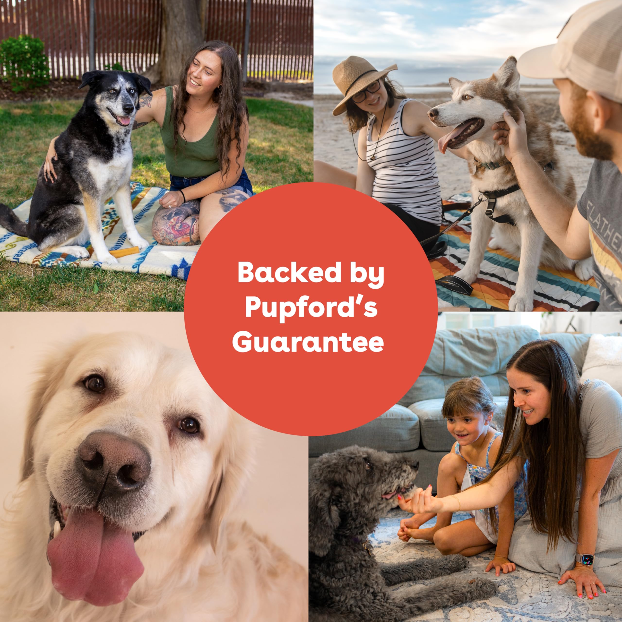 Pupford Queso Yak uso seguro durante juegos y entrenamiento.