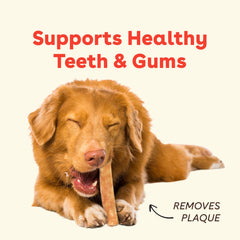 Masticable firme Pupford de yak, ideal para limpieza suave de dientes.
