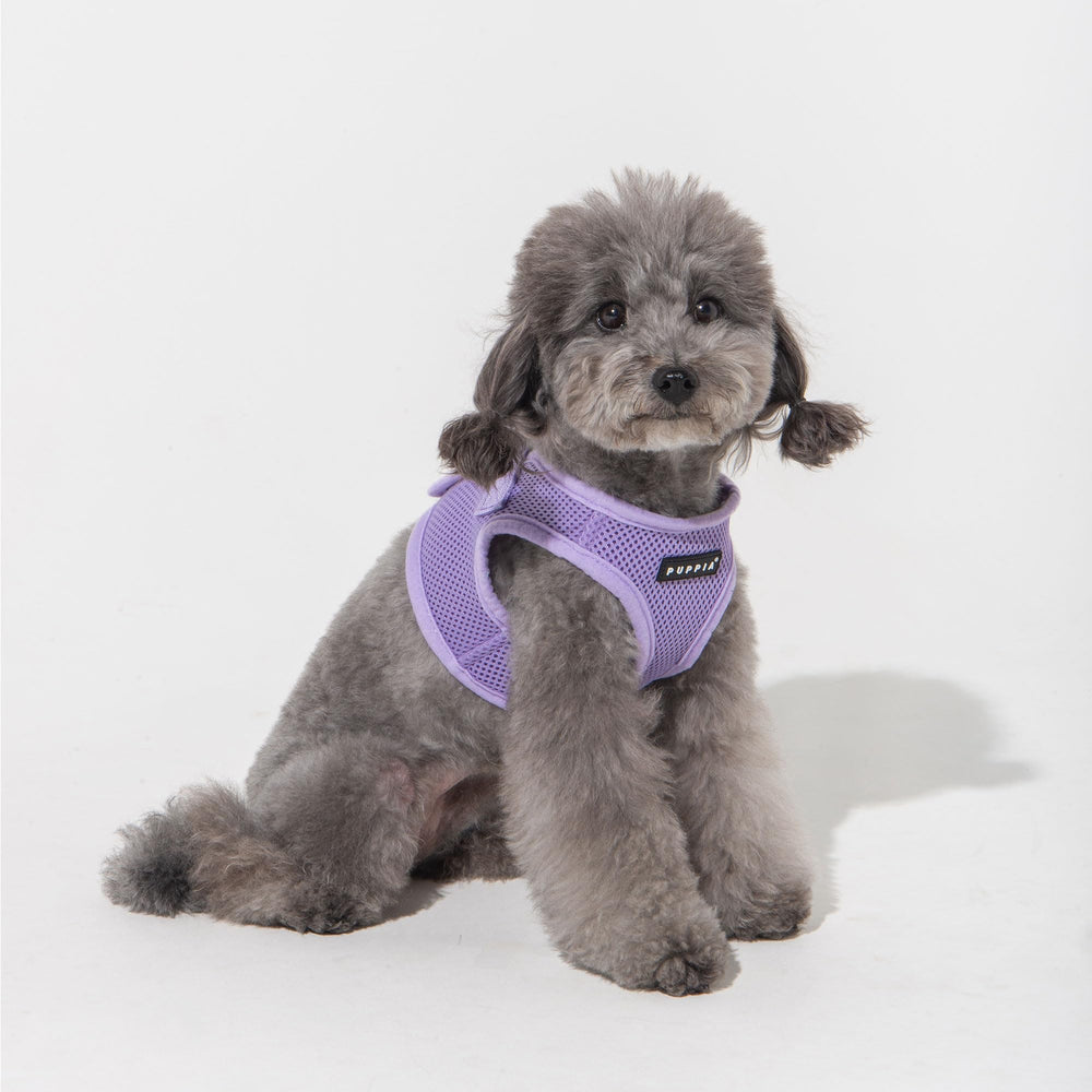 Diseño tipo chaleco Puppia en violeta para estilo y comodidad