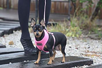 Arnés Puppia con cierre rápido para ponértelo y quitártelo fácilmente