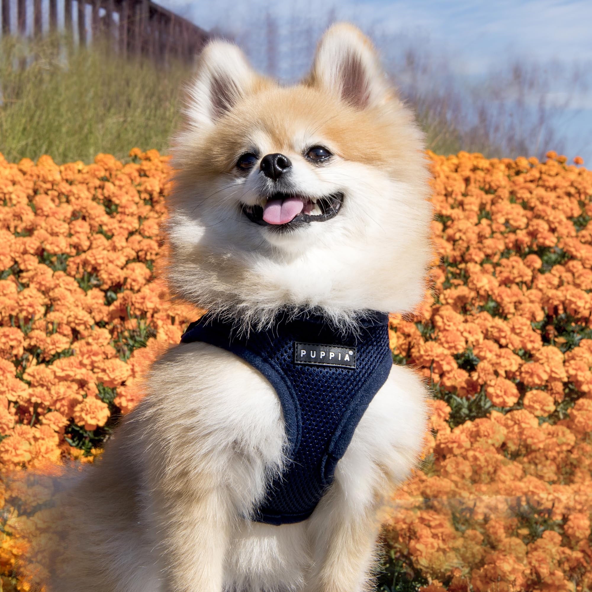 Puppia arnés suave con costuras reforzadas para mayor durabilidad.