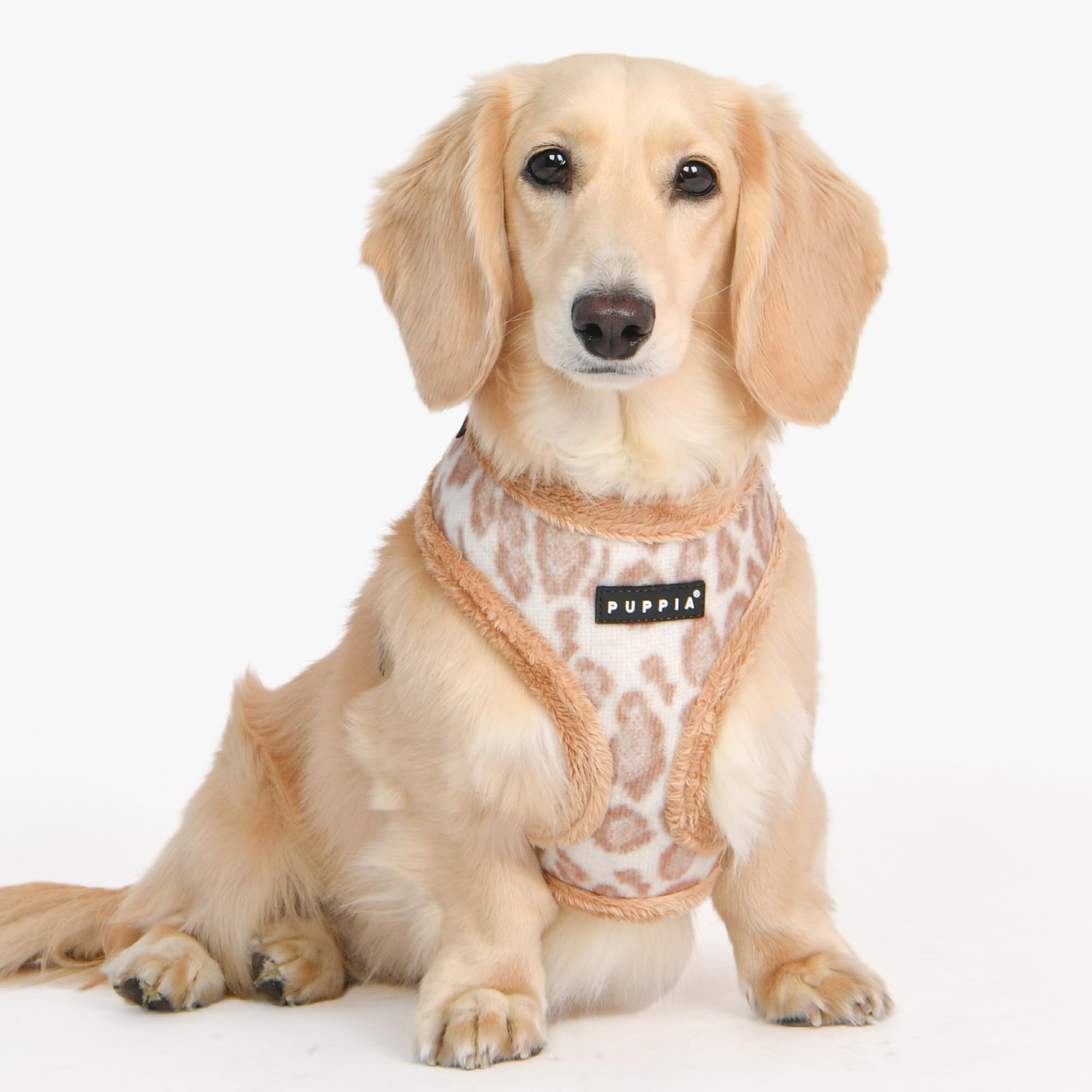 Puppia Kovo arnés con anilla D trasera ajustable, ideal para control suave