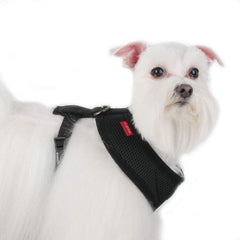 Hebilla de liberación rápida de Puppia para colocar y quitar fácilmente.