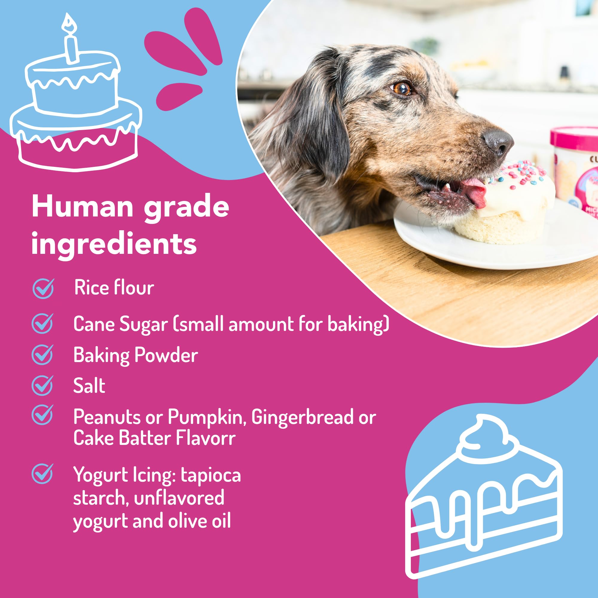 Puppy Cake Cuppy Cake en microondas: preparación rápida para perros
