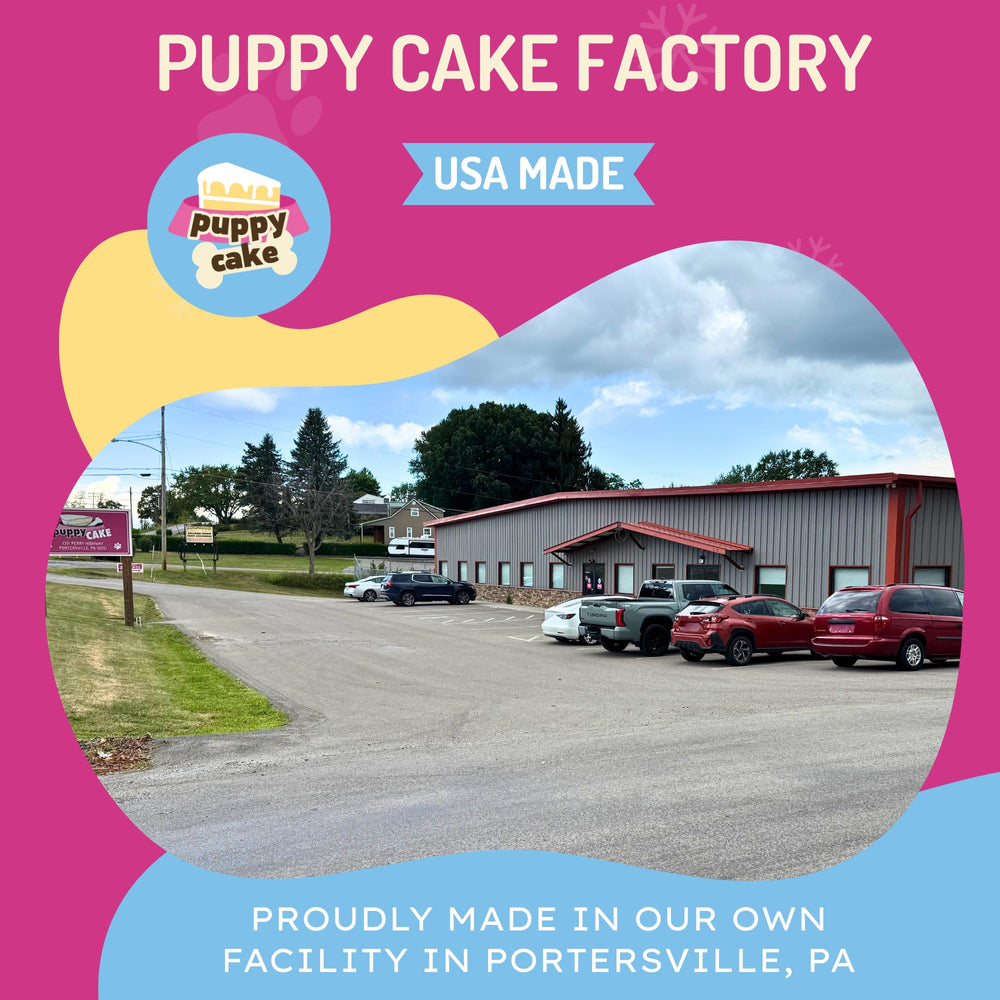 Puppy Cake fete-anniversaire-chien : moment festif et gourmandise maison.