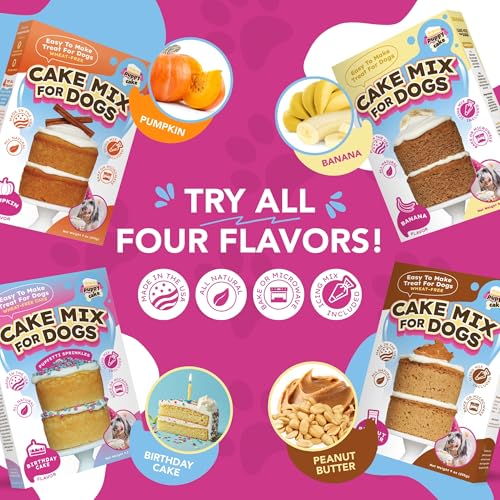 Puppy Cake preparación rápida para pastel de cumpleaños canino