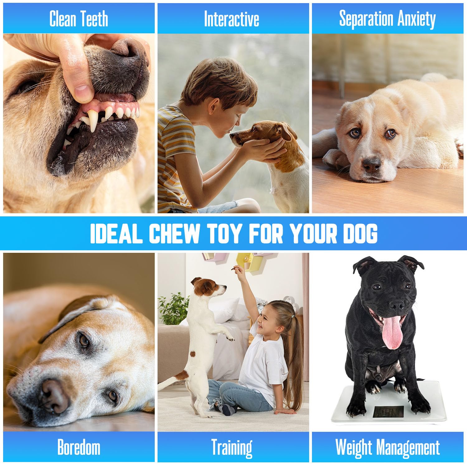 puppy-teething-rings juguete interactivo que fomenta morder y perseguir