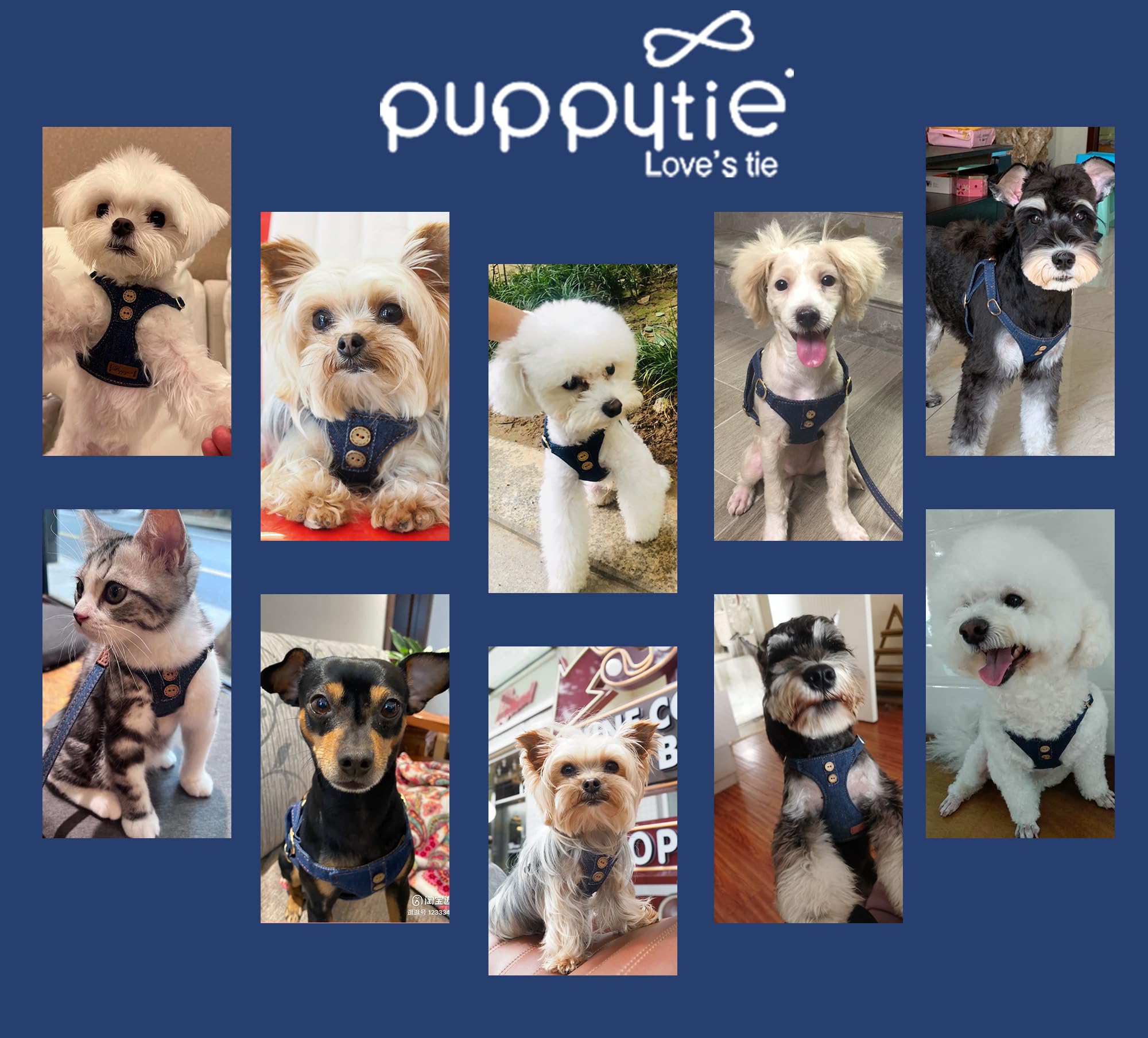Puppytie arnés denim azul puesto, ajuste cómodo.