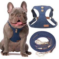 Puppytie arnés sin tirones denim azul para paseos más suaves.