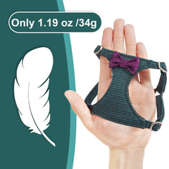 Correa ajustable Puppytie de 49 pulgadas para paseos versátiles.