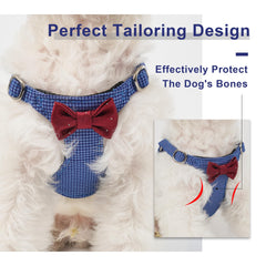 Correa multifuncional Puppytie con dos longitudes para paseos.