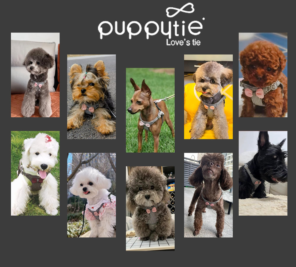 Puppytie empaque regalo y servicio de atención al cliente