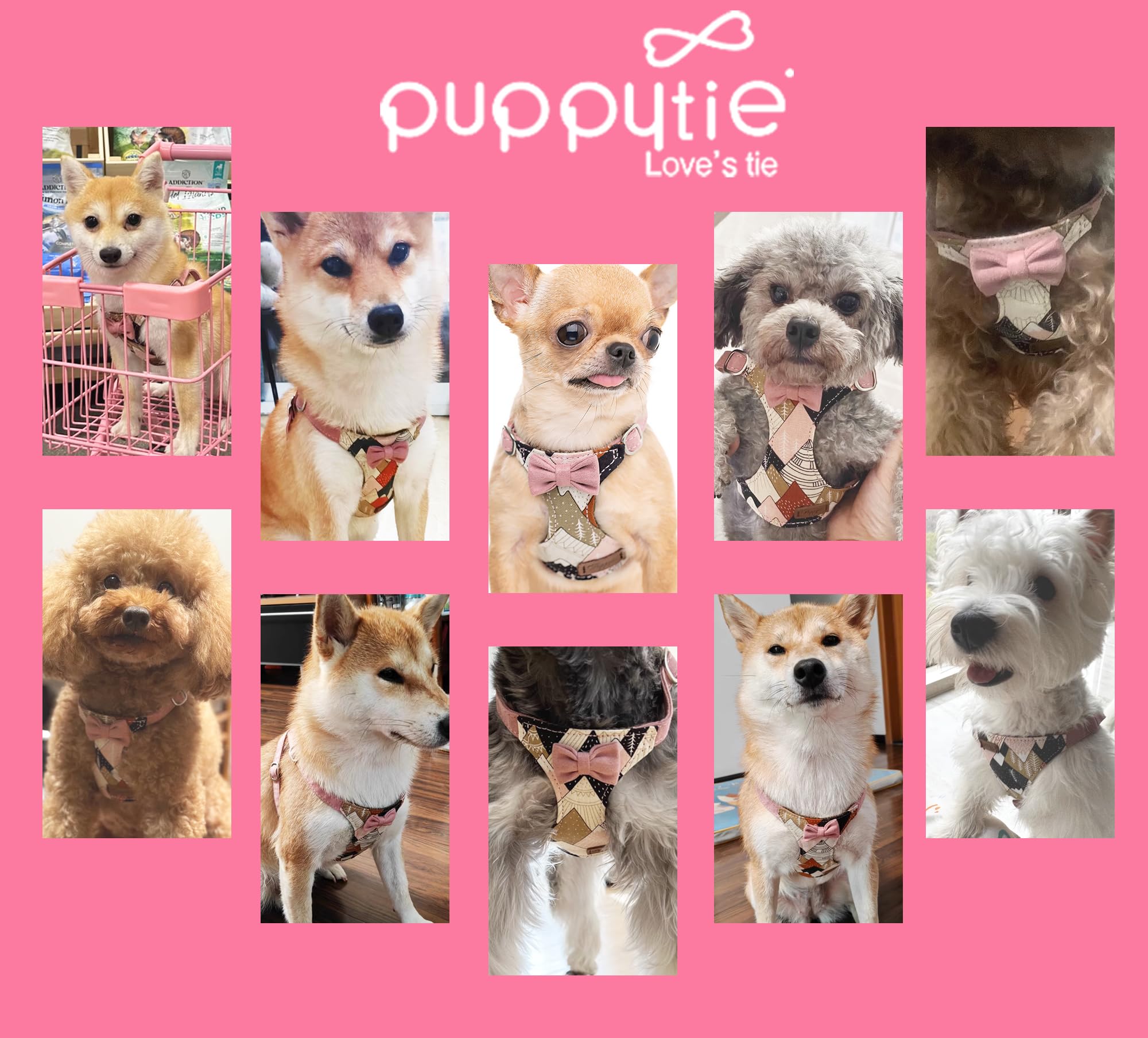 Puppytie empaque regalo y servicio al cliente dedicado.