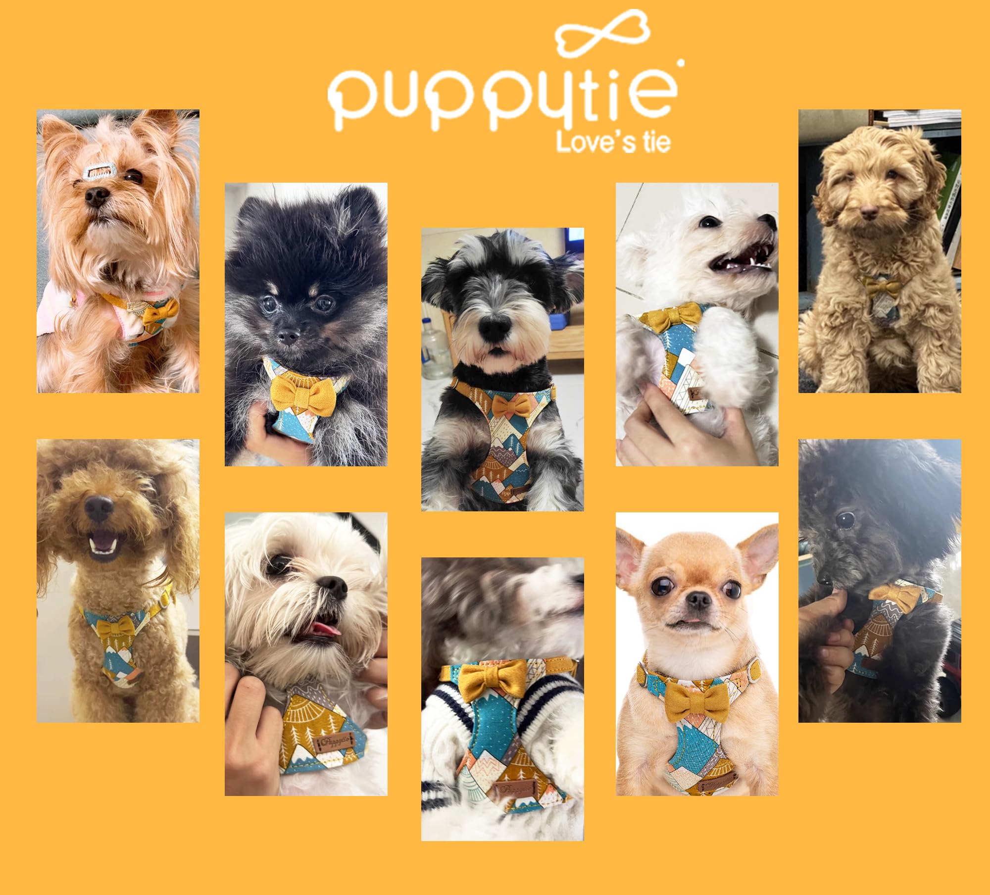 Empaque regalo Puppytie y servicio al cliente dedicado.