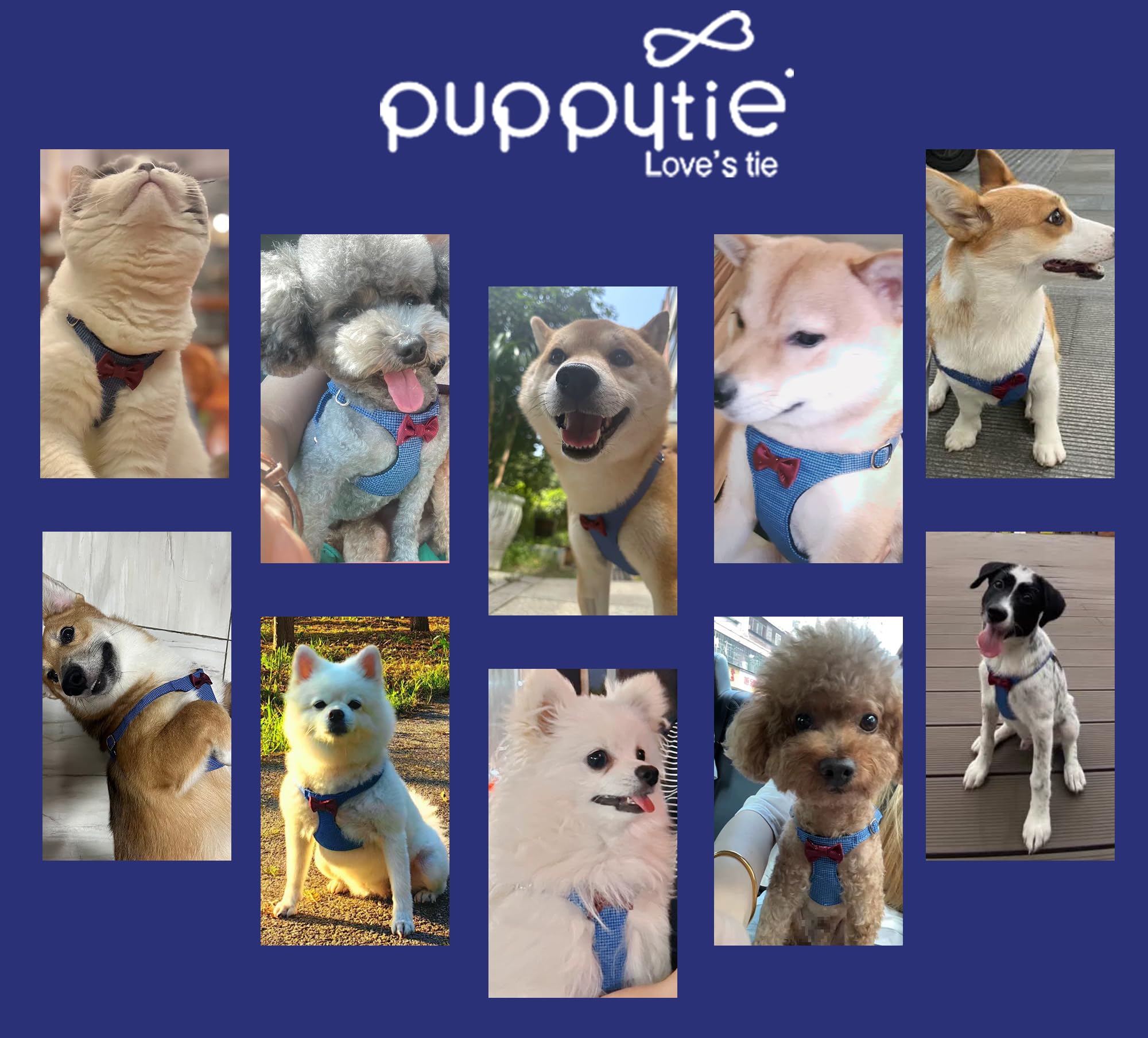 Empaque regalo Puppytie y atención al cliente profesional.