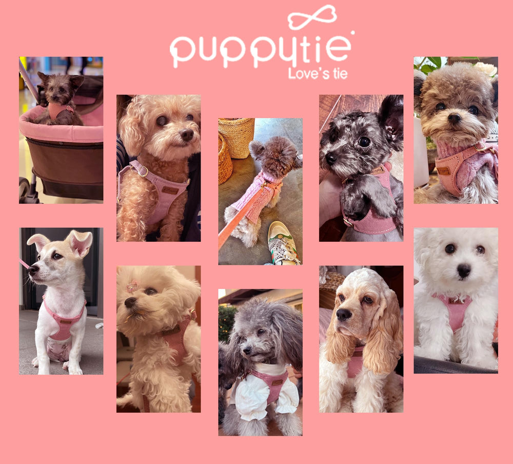 Presentación en estuche regalo y servicio al cliente 24/7.