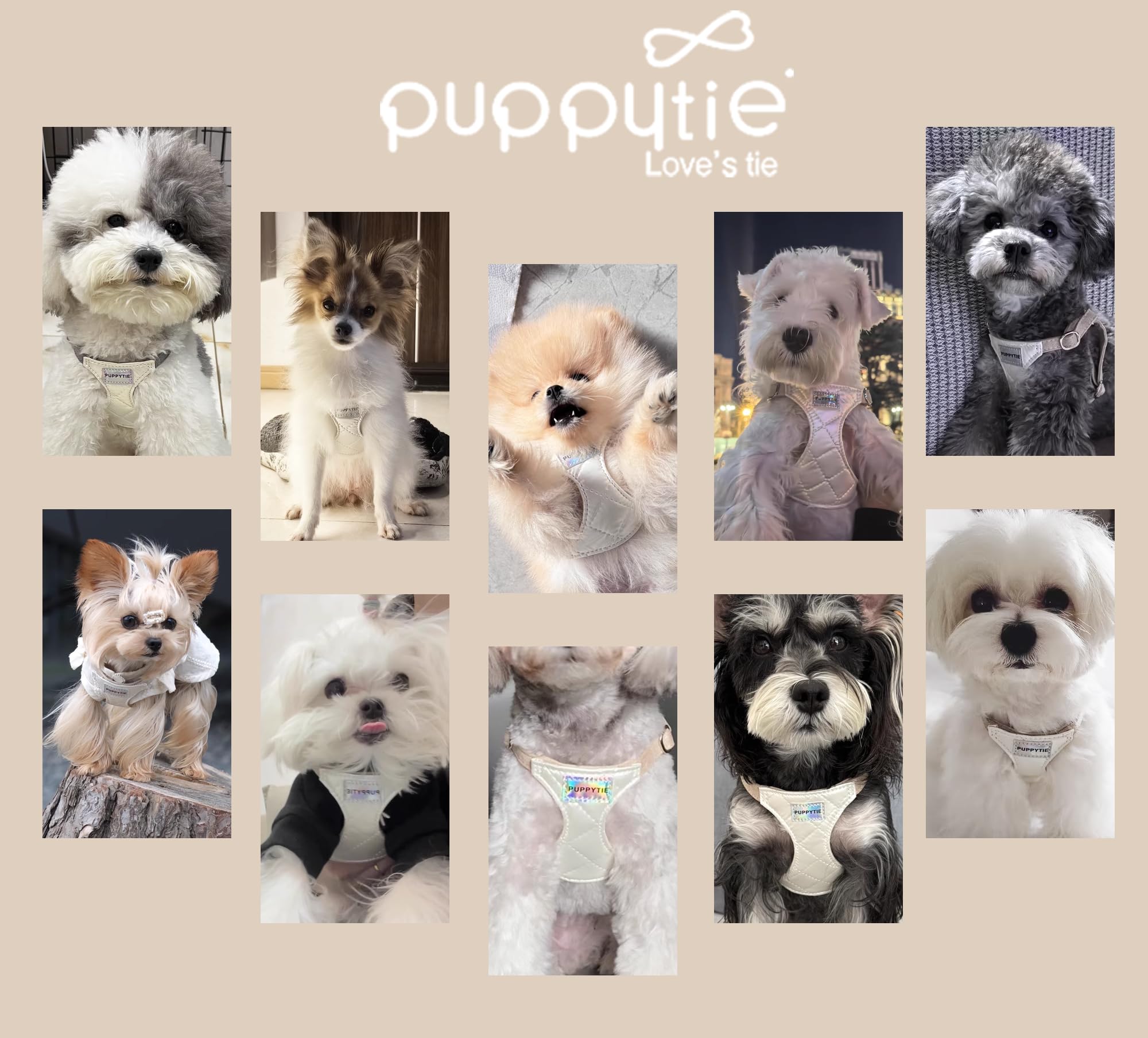 Puppytie permite llevar dos perros o guardar llaves.