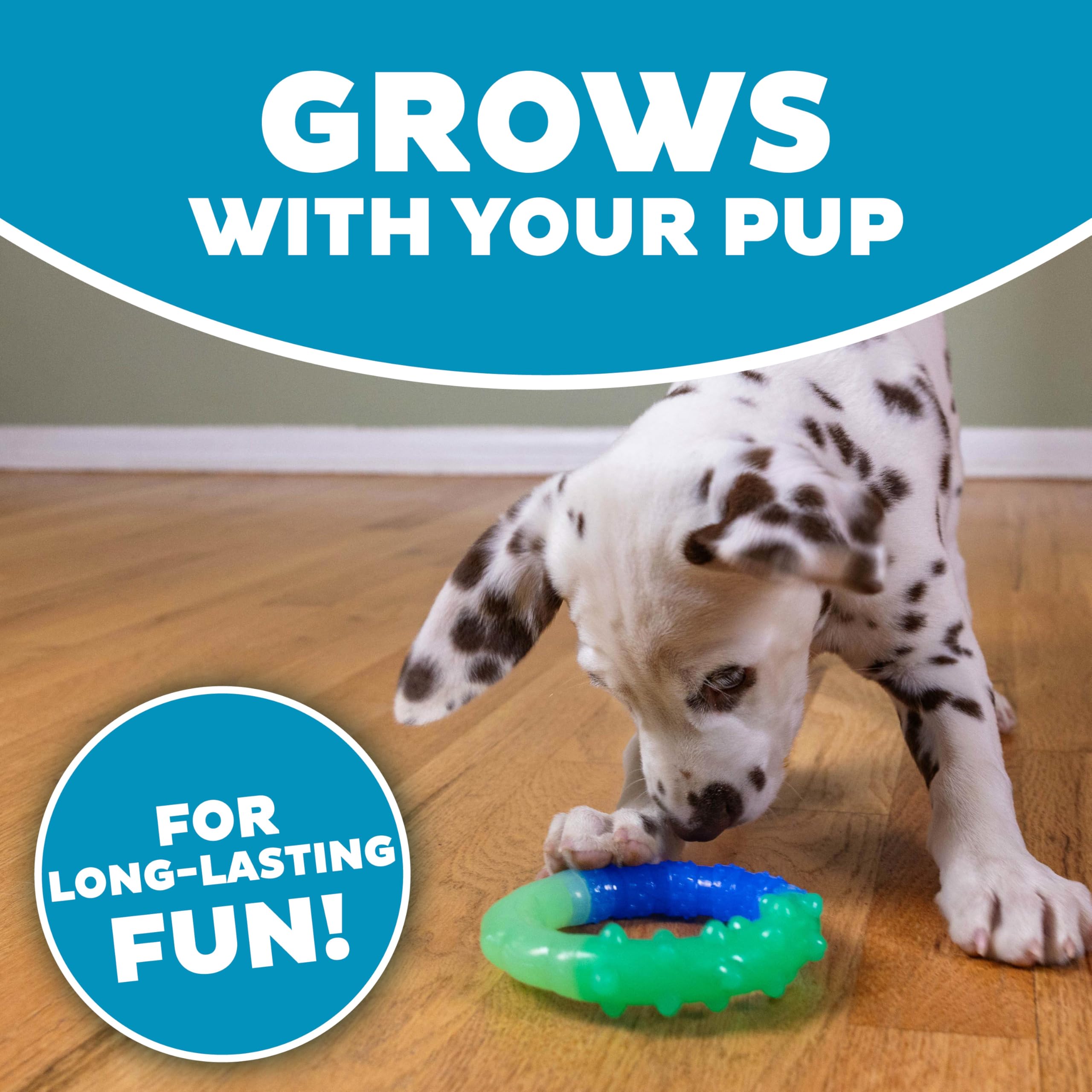 Pupstages Anillo Flota en Agua: ideal para juegos en casa o playa