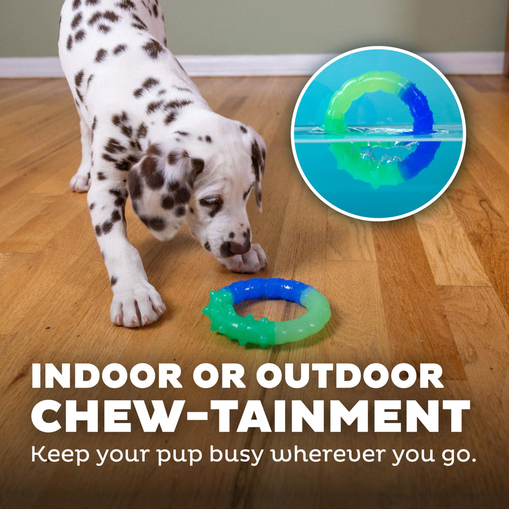 Pupstages Anillo Ligero para Interiores: juego cómodo y seguro en casa