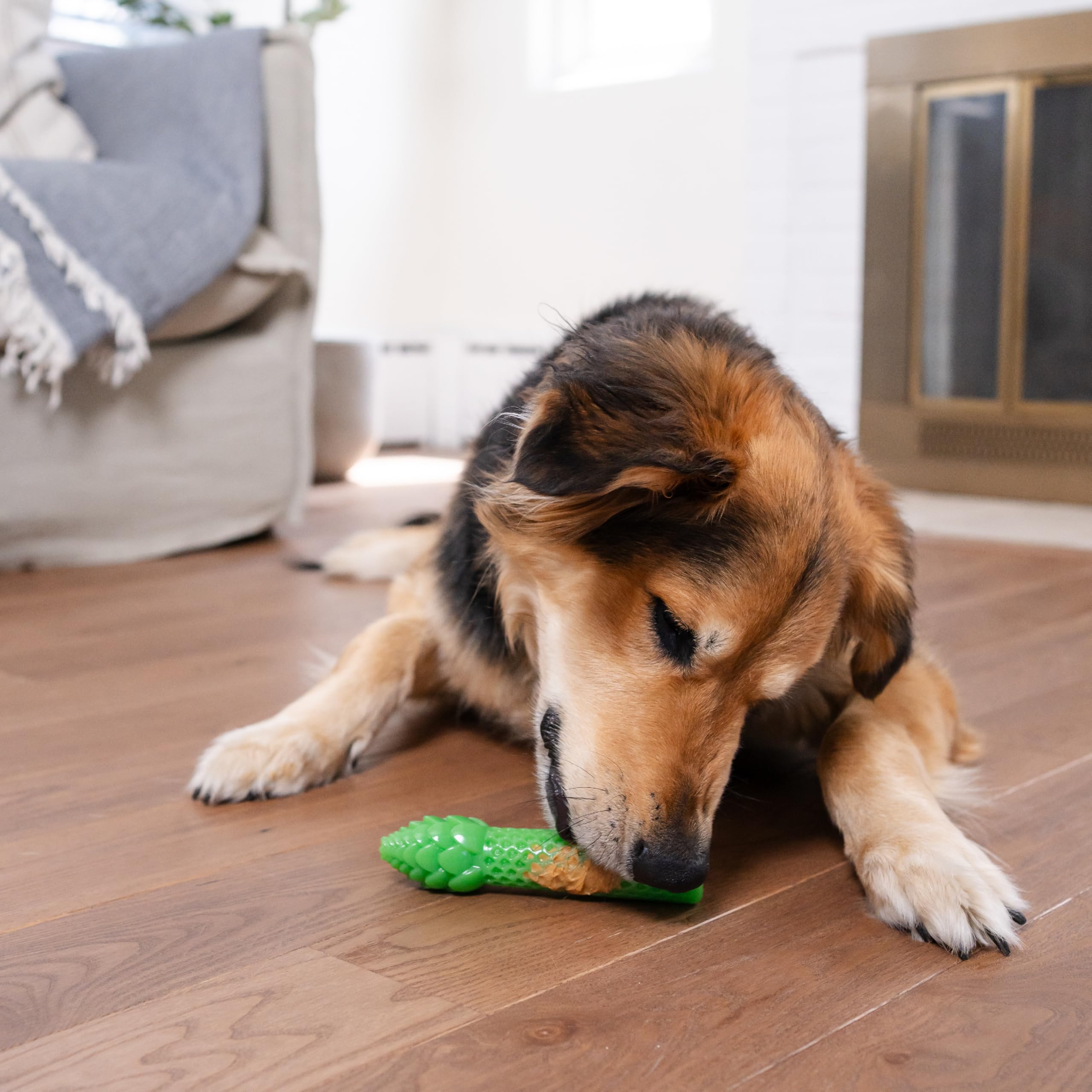 Juguete no comestible Pupstages ideal para juego seguro.