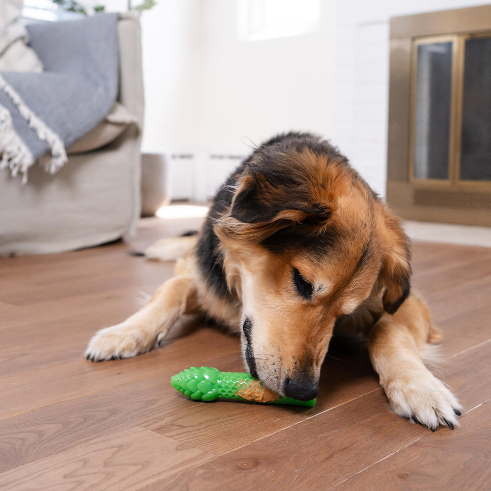 Juguete no comestible Pupstages ideal para juego seguro.