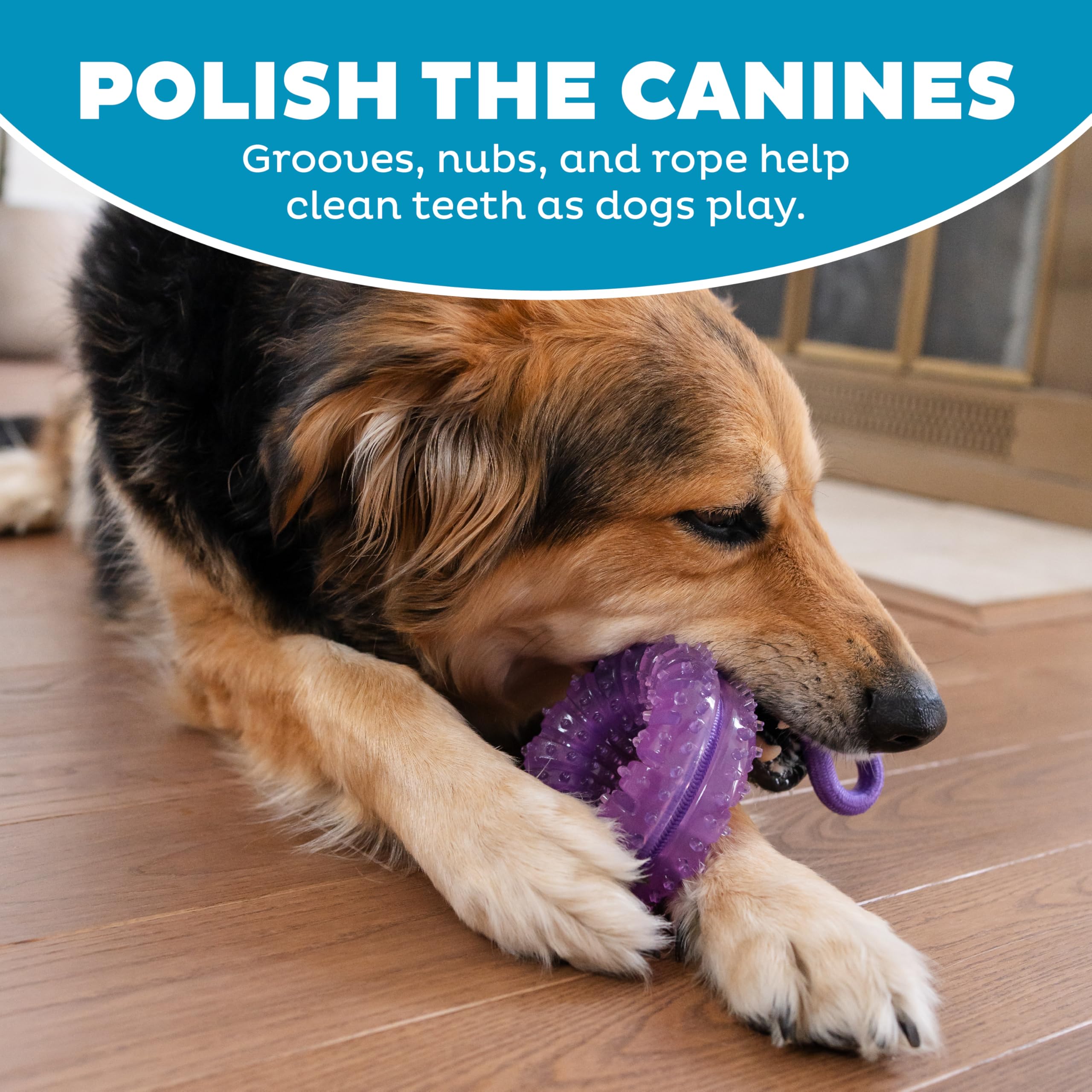 Pupstages Outward Hound aroma a menta para aliento fresco