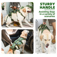 Anillas en D delanteras y traseras PUPTECK para entrenamiento y paseos.
