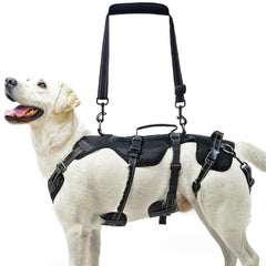 PUPTECK Arnes de elevación para perro senior con soporte para subir escaleras.