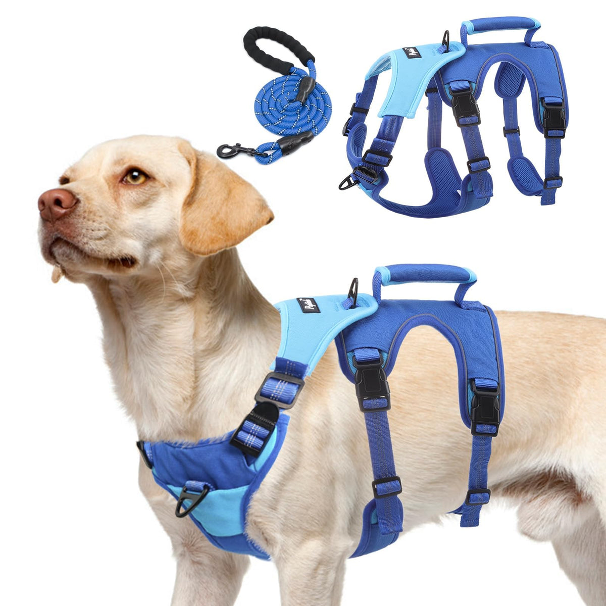 PUPTECK arnés evitan que se escapen perros, azul, ideal para entrenamiento.