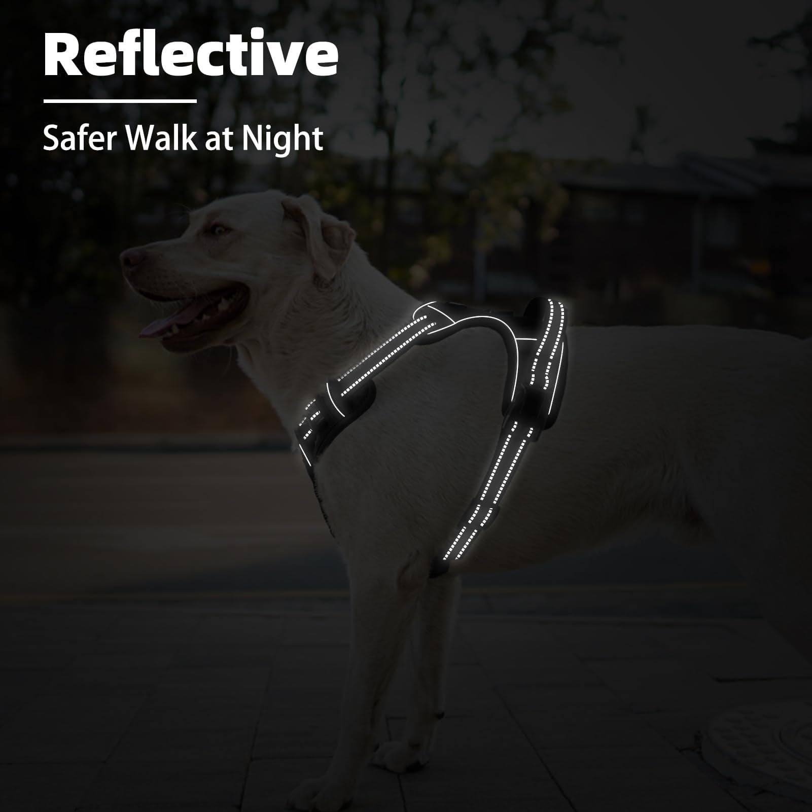 Arnés Pupteck ideal para paseos y entrenamiento diario de perros grandes.