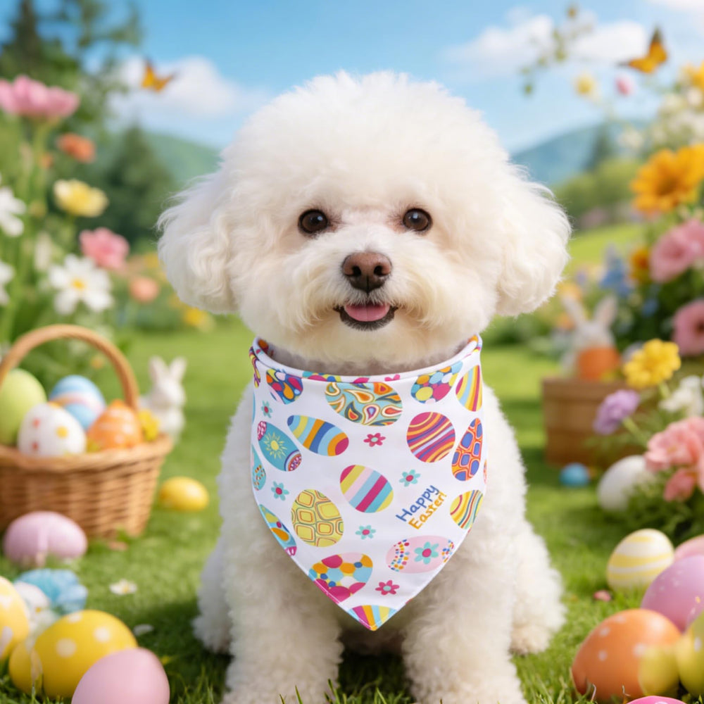 Pupteck bandana Pascua para mascota, ideal para sesiones de fotos.