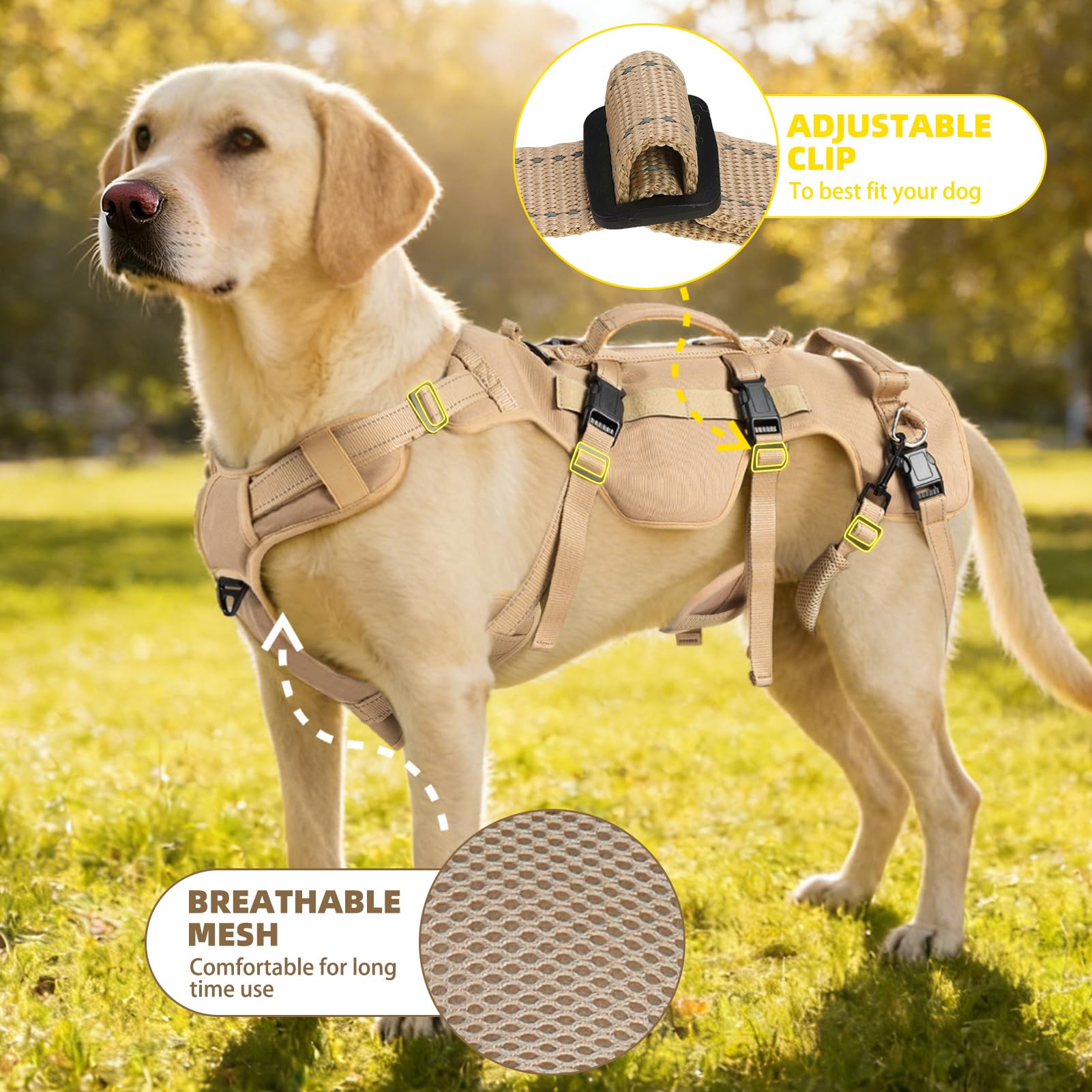 guía de tallas xl para un ajuste seguro con pupteck