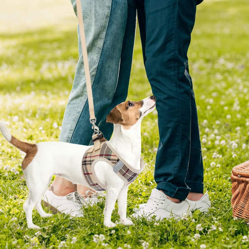 PUPTECK set completo para paseos diarios sin complicaciones.
