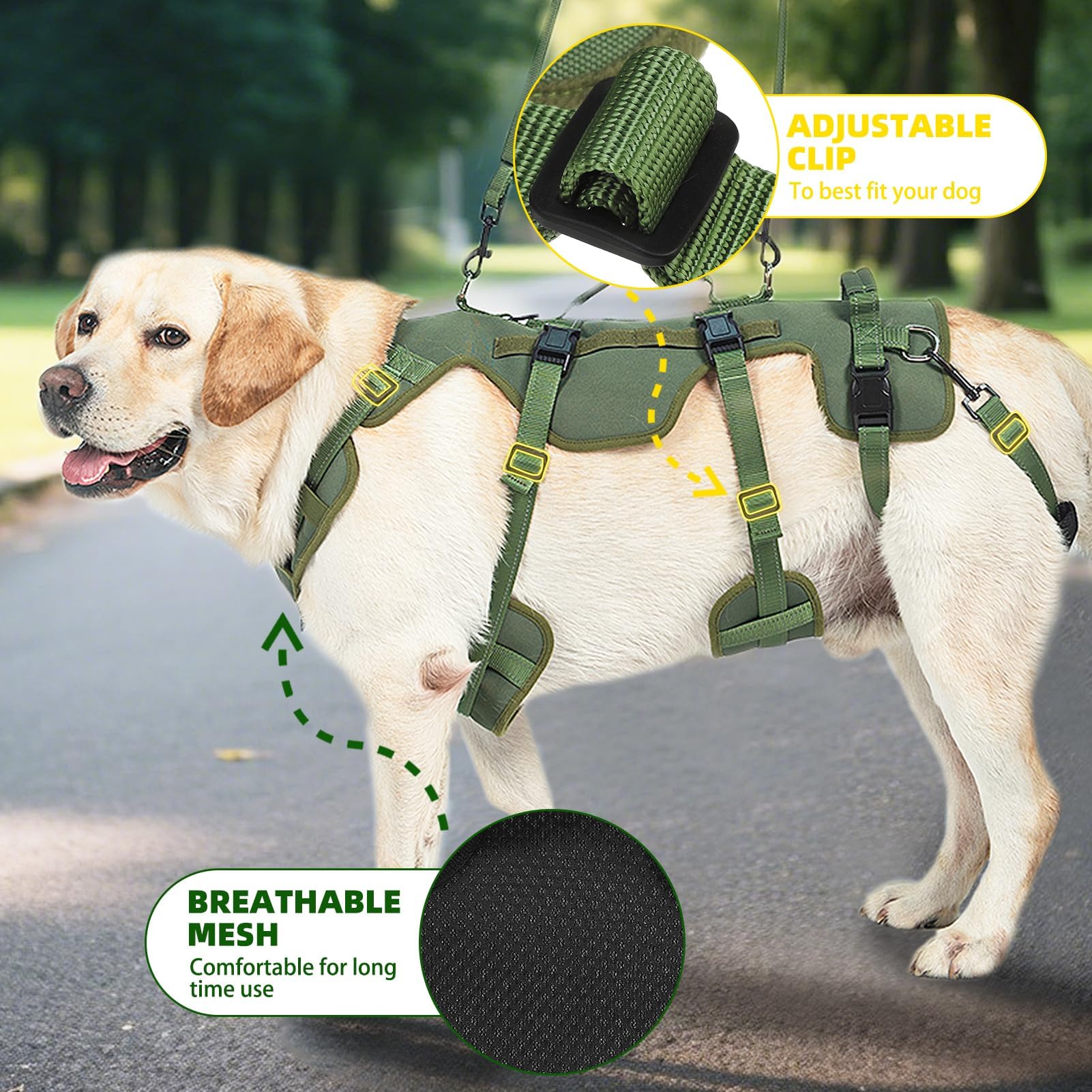 PUPTECK uso diario movilidad segura para perros