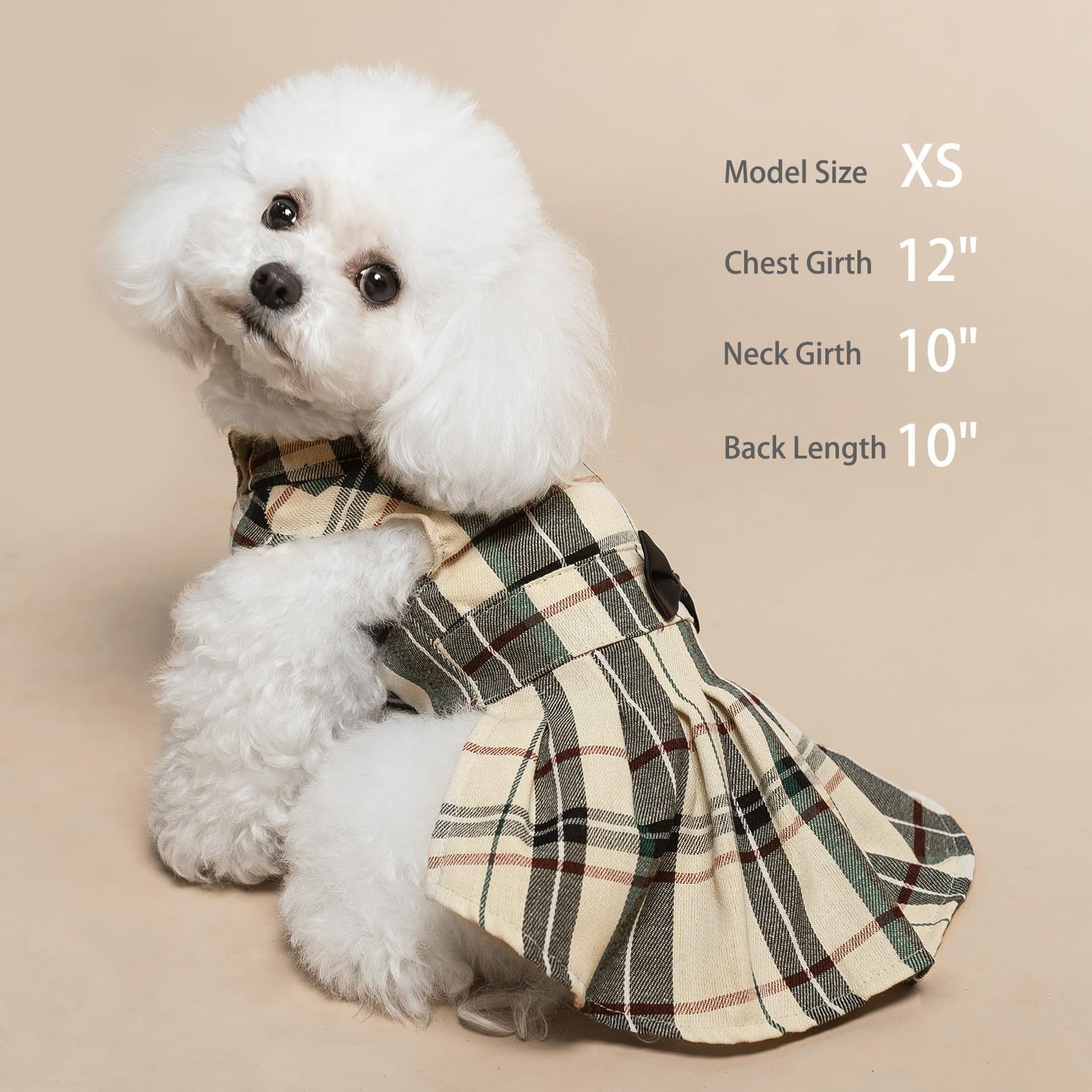 PUPTECK guía de tallas para perros pequeños.