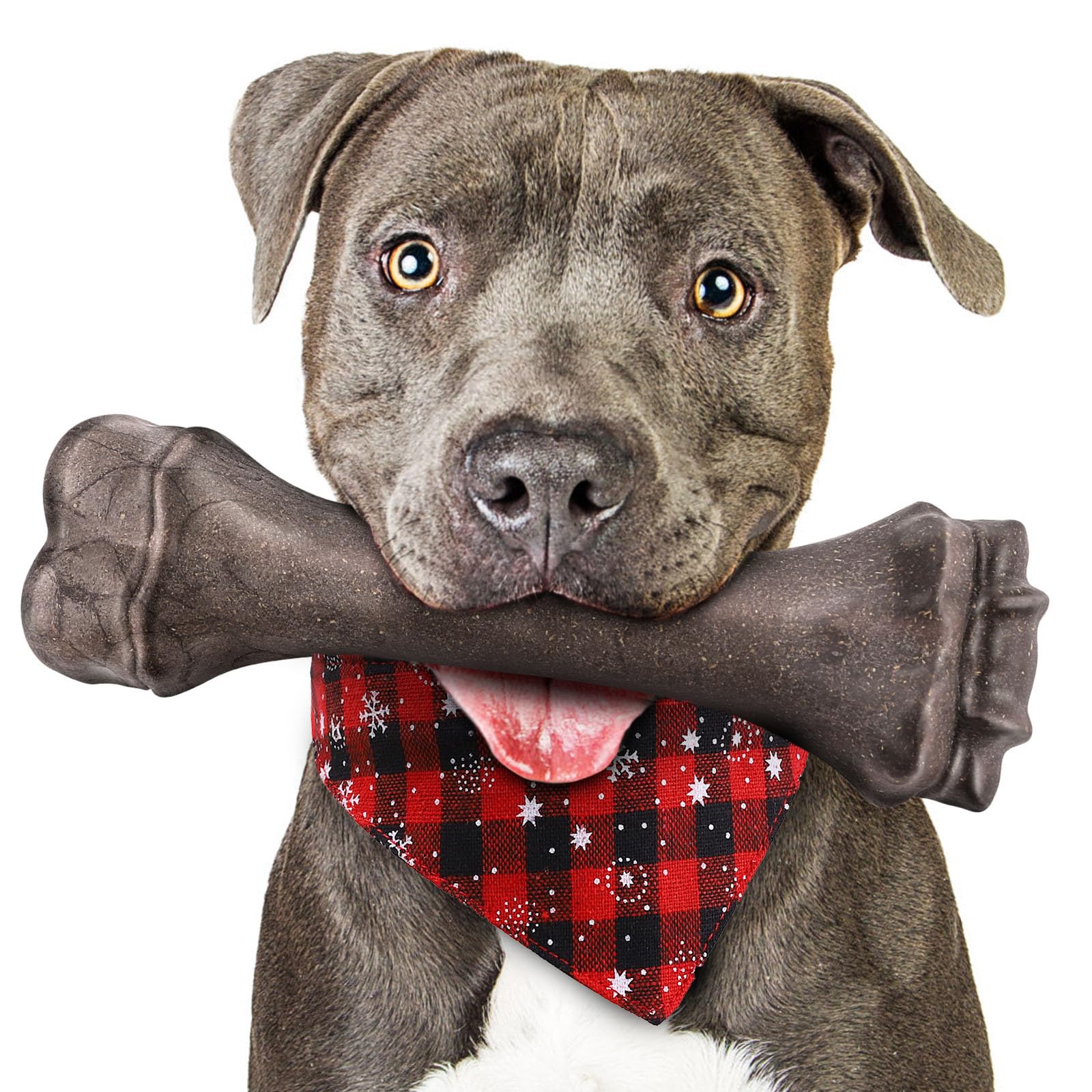 PUPTILY Hueso indestructible grande para perros grandes, ideal para masticar con seguridad.