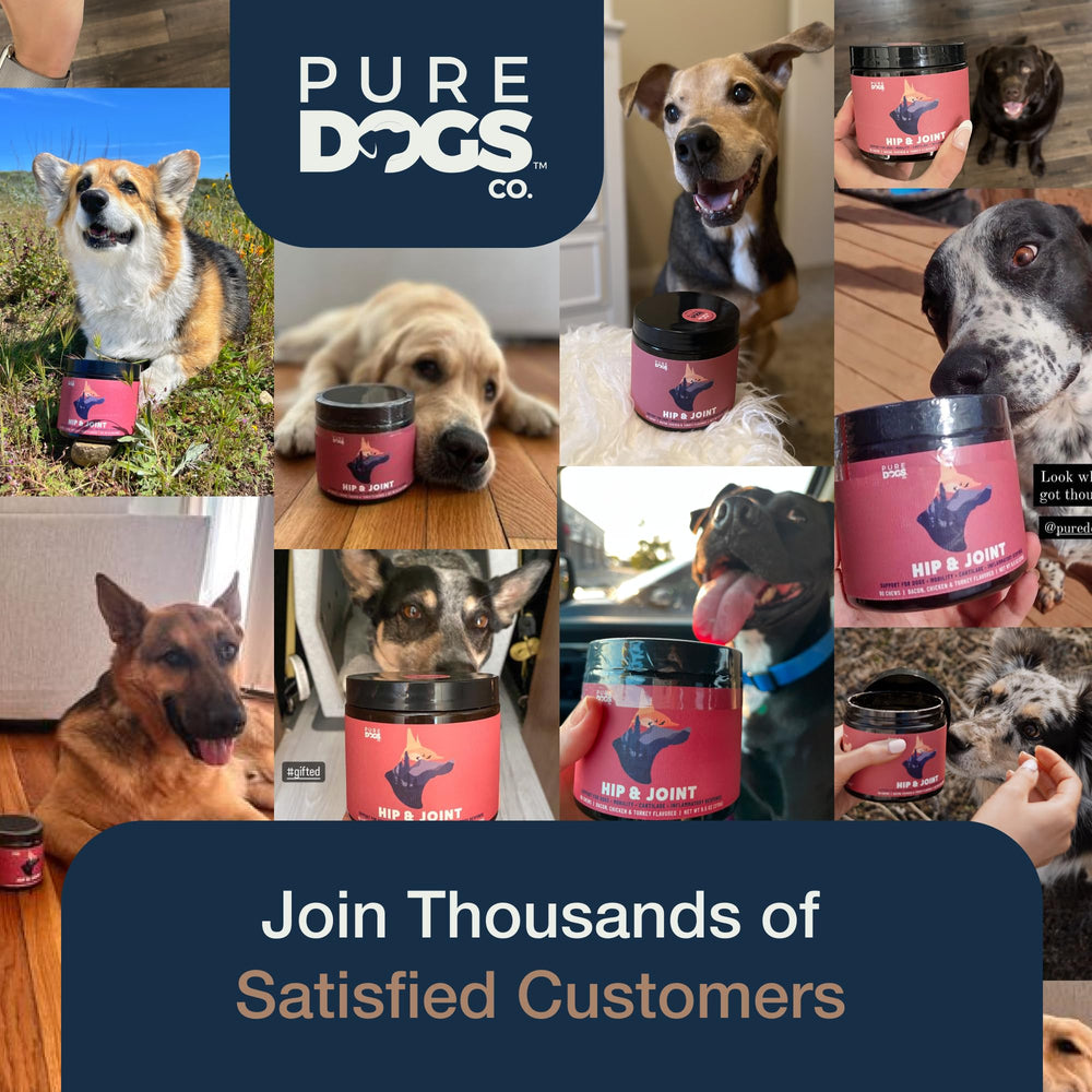 PURE DOGS CO. fabricado en Estados Unidos en instalaciones certificadas.