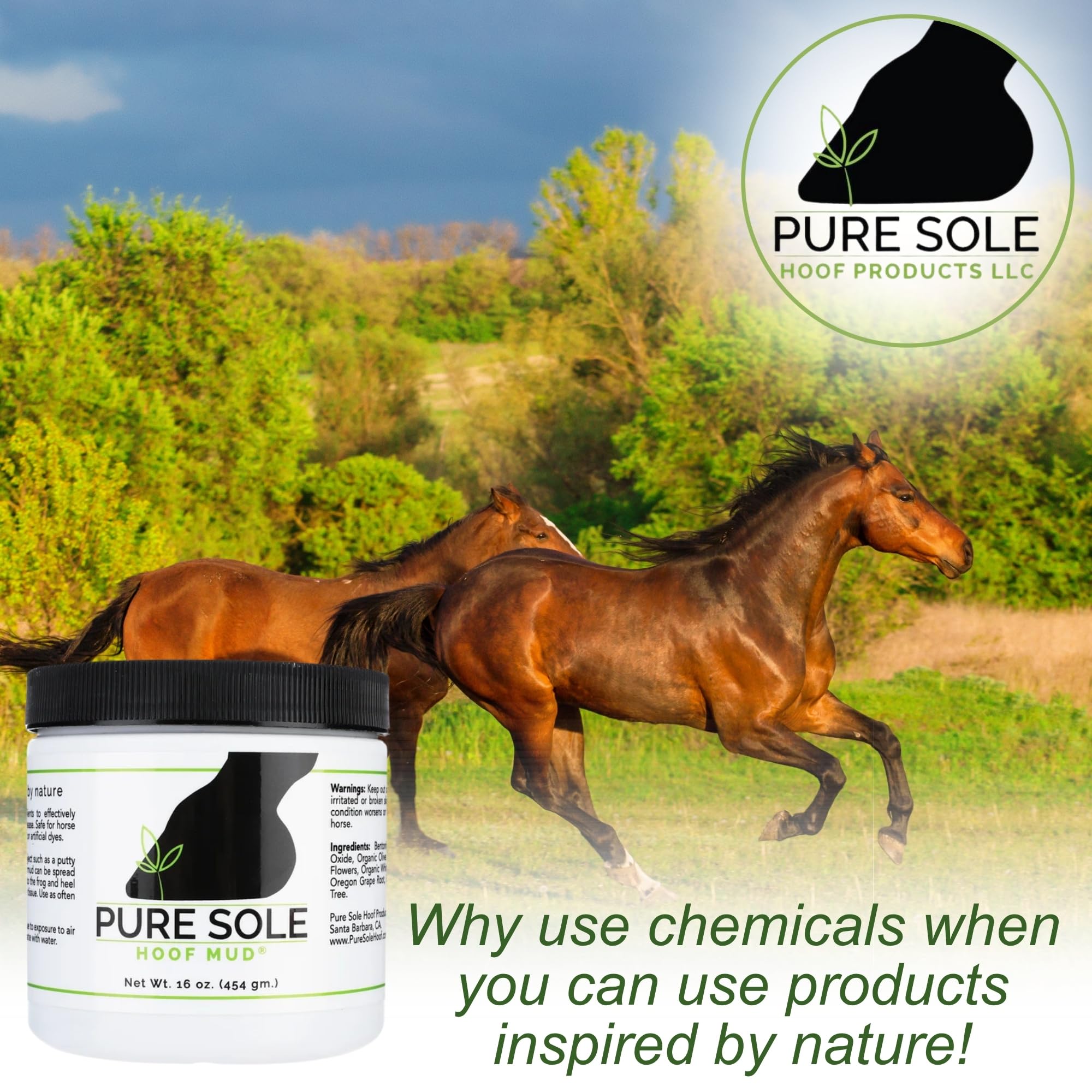 Pure Sole Hoof Mud envase de 16 onzas para uso continuo