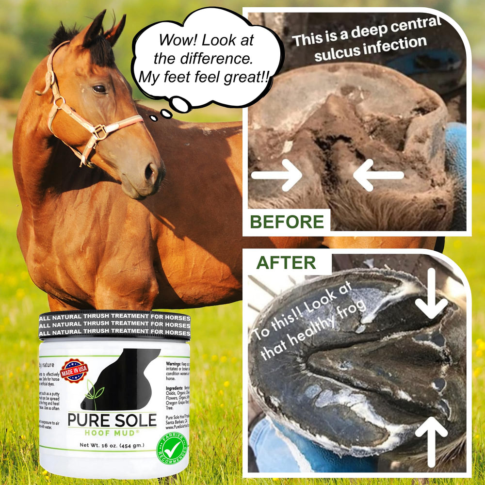 Pure Sole Hoof Mud línea blanca en pezuña para soporte estructural