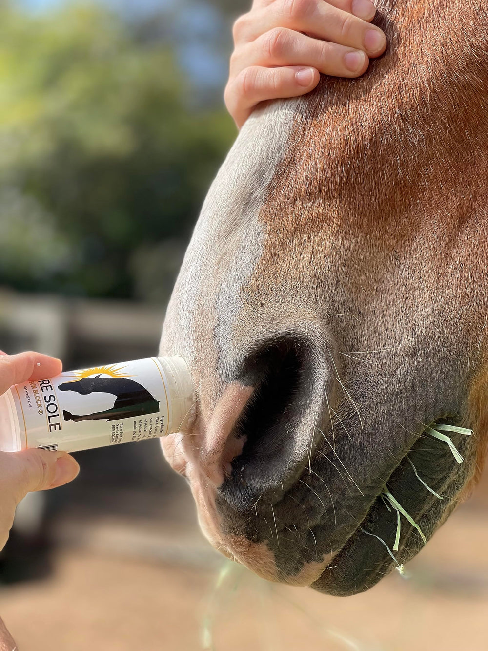 Protección contra viento y nieve con Pure Sole para caballos