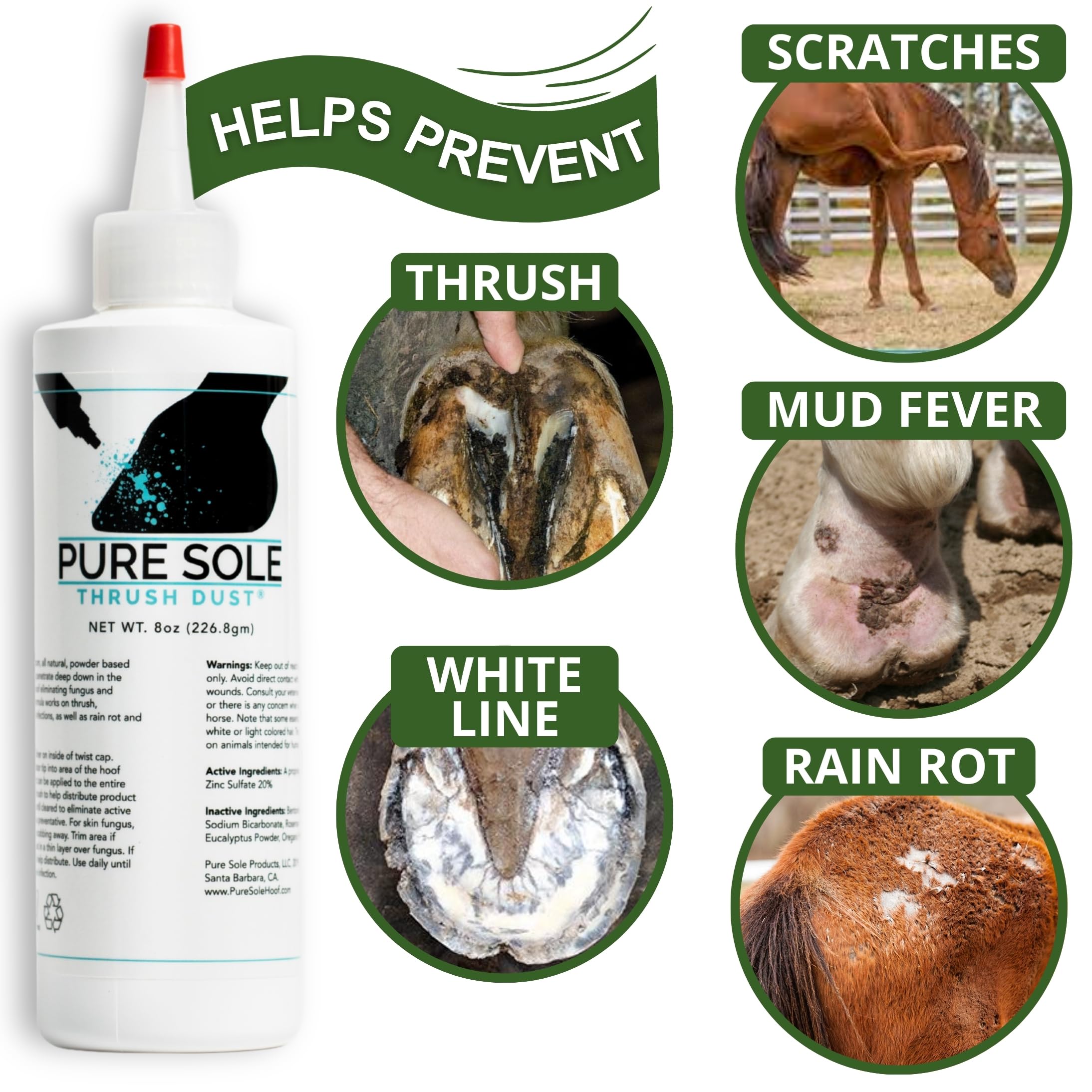 Aplicación de Pure Sole Thrush Dust en el casco para disminuir humedad.