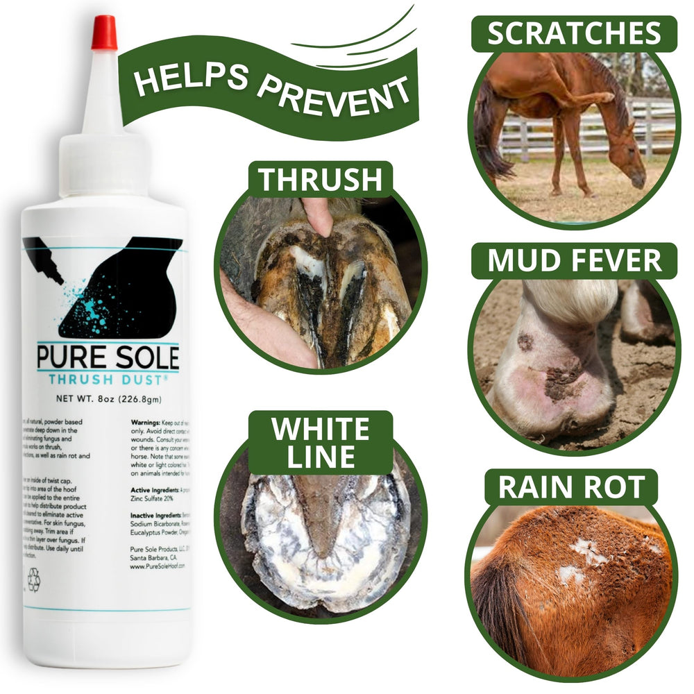 Aplicación de Pure Sole Thrush Dust en el casco para disminuir humedad.