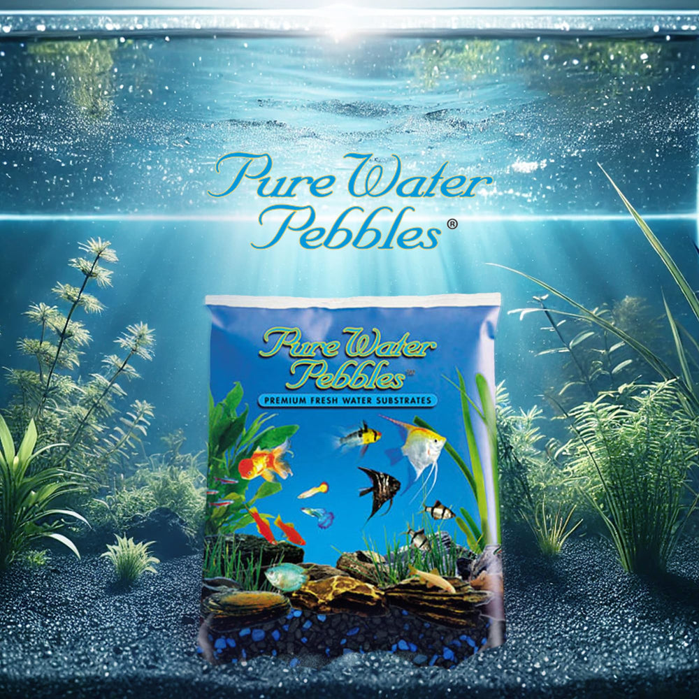 Pure Water Pebbles gravilla para terrarios, aporta tono oscuro y textura natural.
